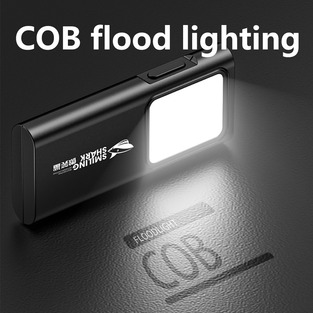 USB-C wiederaufladbare Mini ED – Edc (Every Day Carry Bewertung und Preis